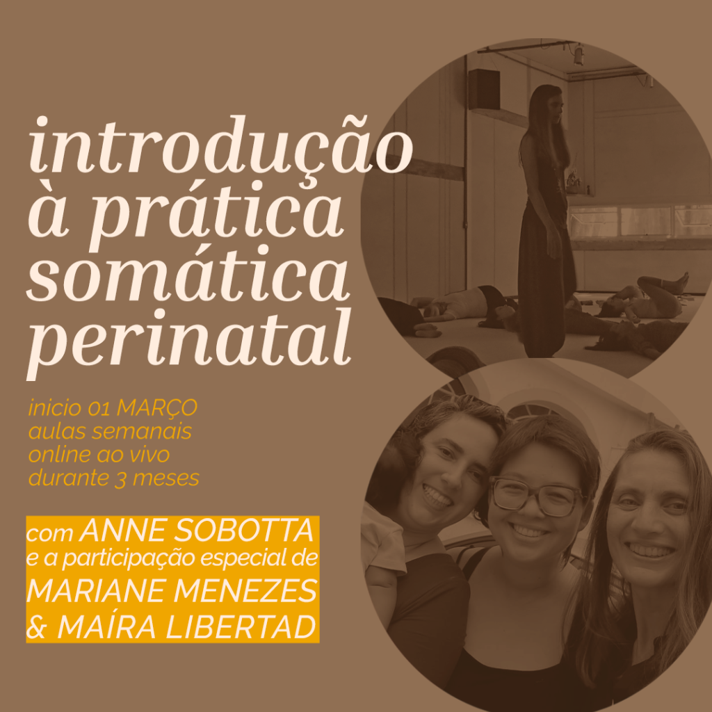 curso de introdução a prática somática perinatal com Anne Sobotta Birth in Motion Maira Libertad Maíra Takemoto