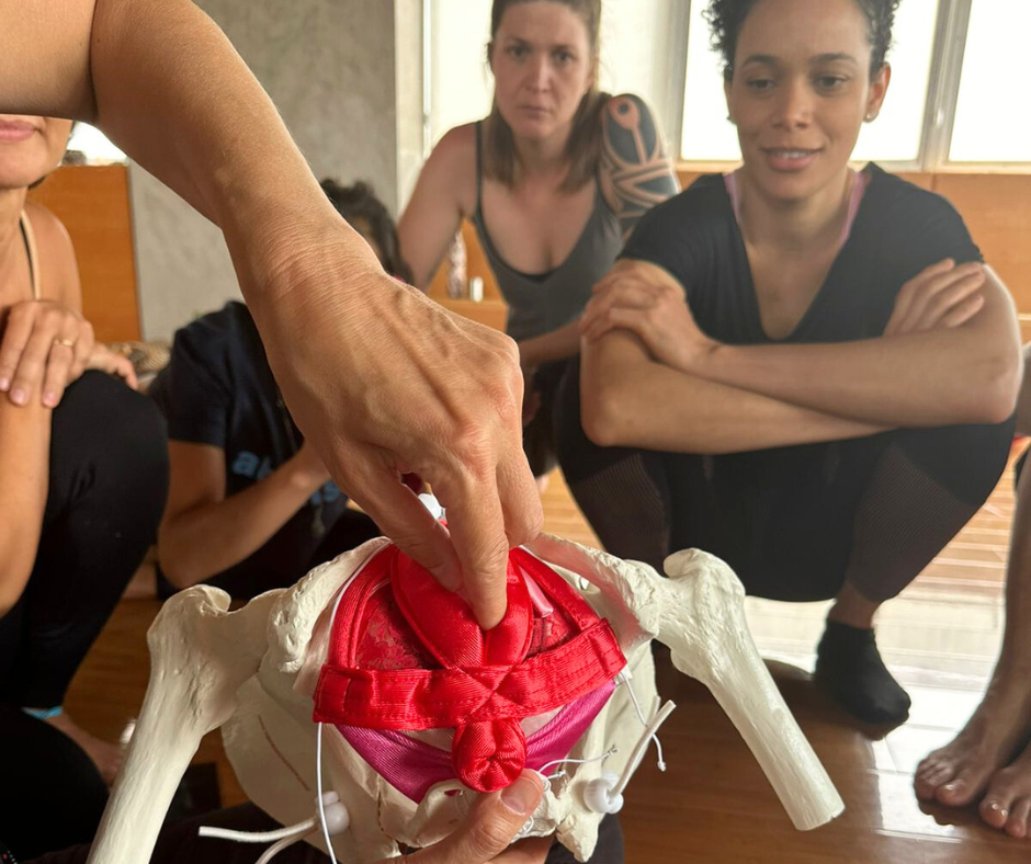 propriocepção, interocepção, assoalho pélvico, workshop online, prática somática, Anne Sobotta, neurofuncional, biotensegridade, educação somática, formação perinatal