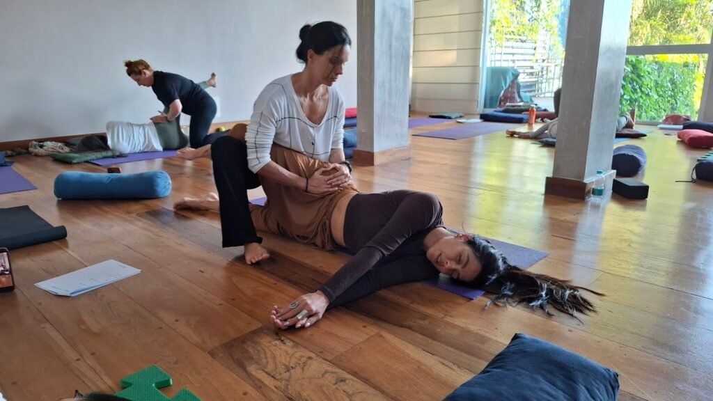 Curso Birth in Motion com Anne Sobotta e Beatriz Castro terapia manual e prática somática