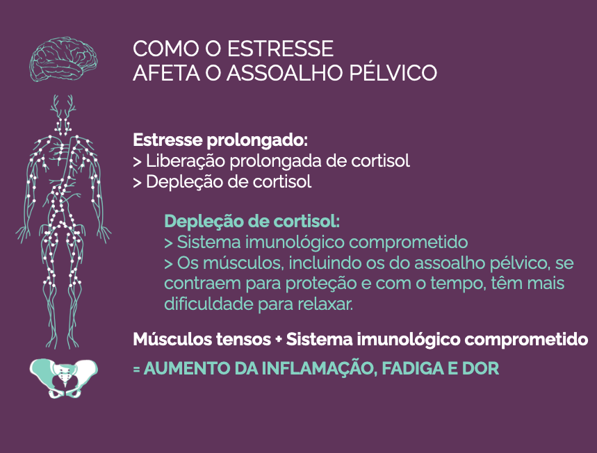 Curso pelve minha julho 2026 com Anne Sobotta assoalho pélvico neurociência neurofuncional birth in motion pavimento pélvico
