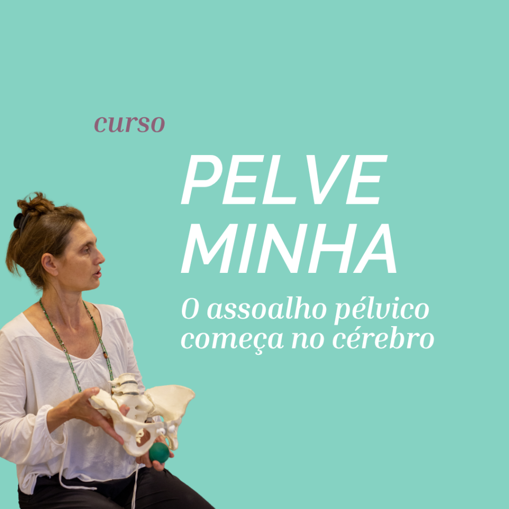 Curso pelve minha julho 2026 com Anne Sobotta assoalho pélvico neurociência neurofuncional birth in motion pavimento pélvico